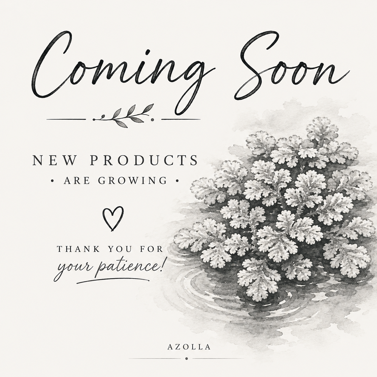 COMING SOON | Azolla – Aquatic Feeder Plant