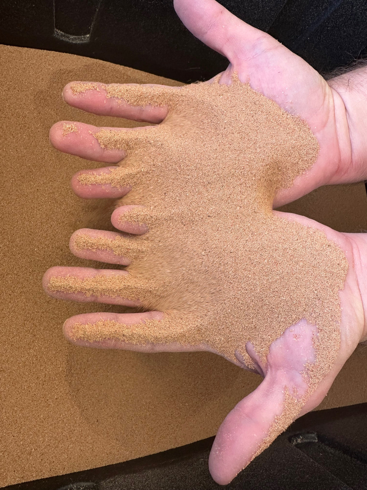 Premium Mealworm Frass | Natural Soil Amendment