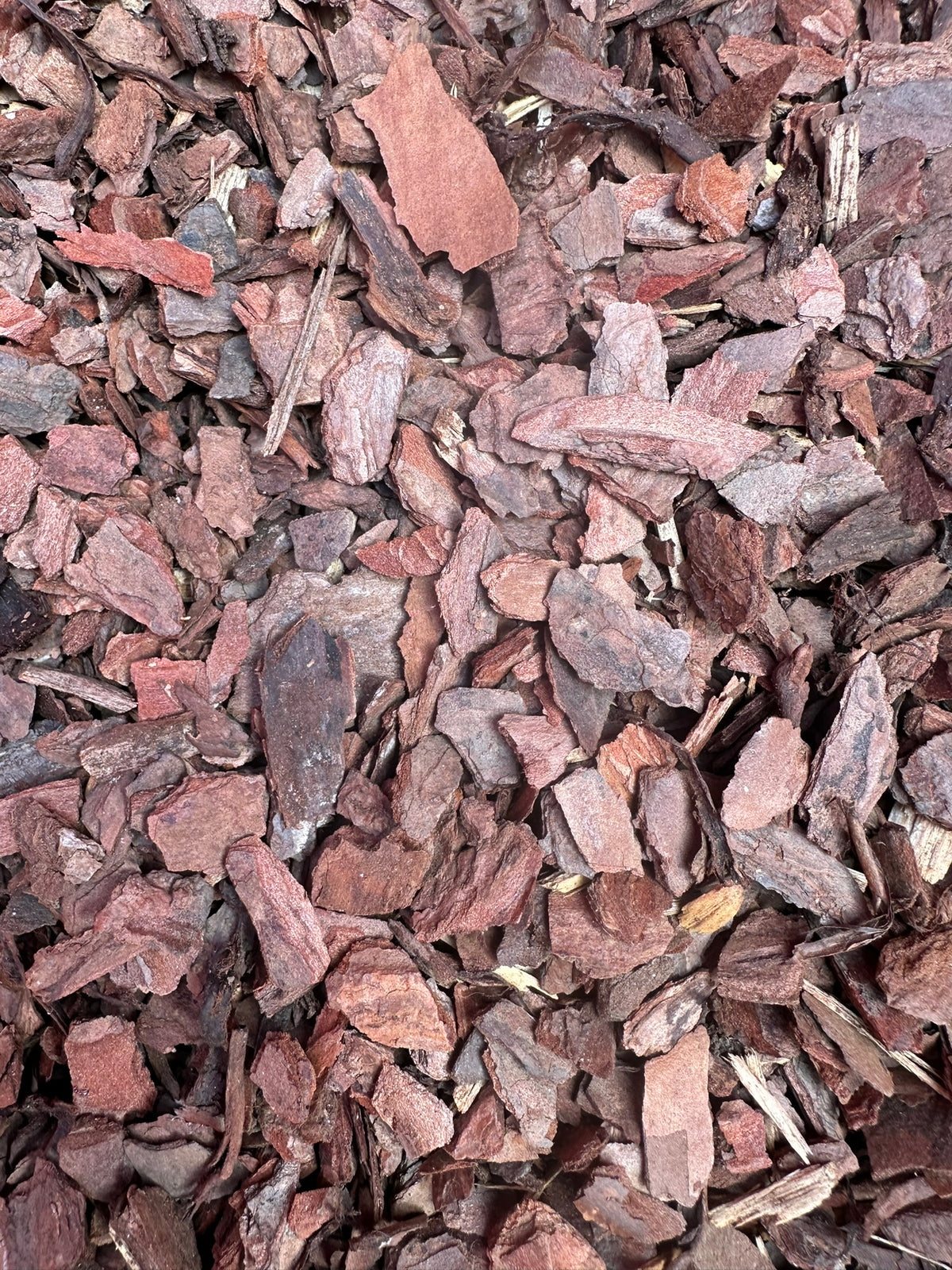 COMING SOON | Pine Bark Fines – Natural Soil Amendment