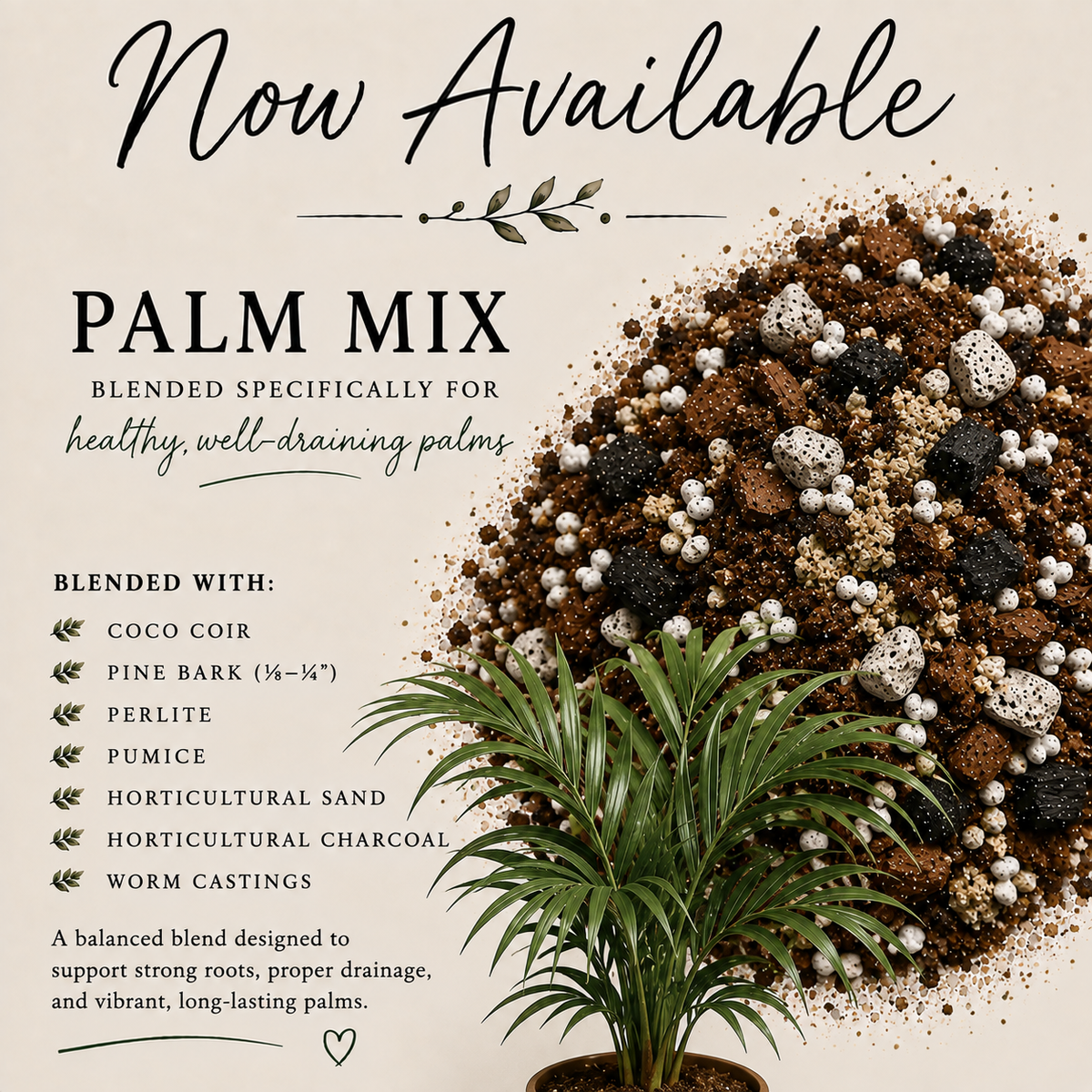 Palm soil mix with coco coir, pine bark, perlite, pumice, horticultural sand, charcoal and worm castings