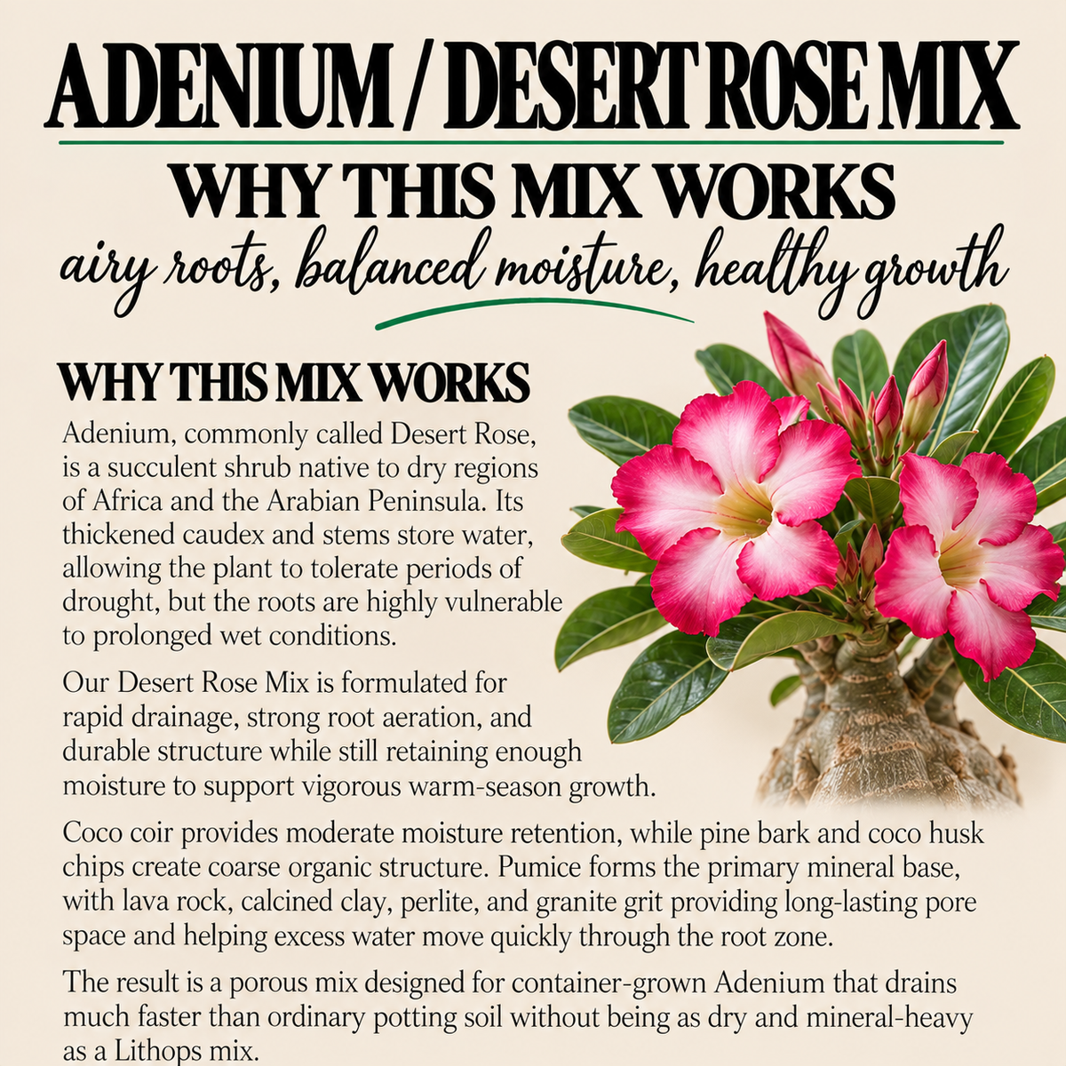Desert Rose Potting Mix – Fast-Draining Adenium Soil
