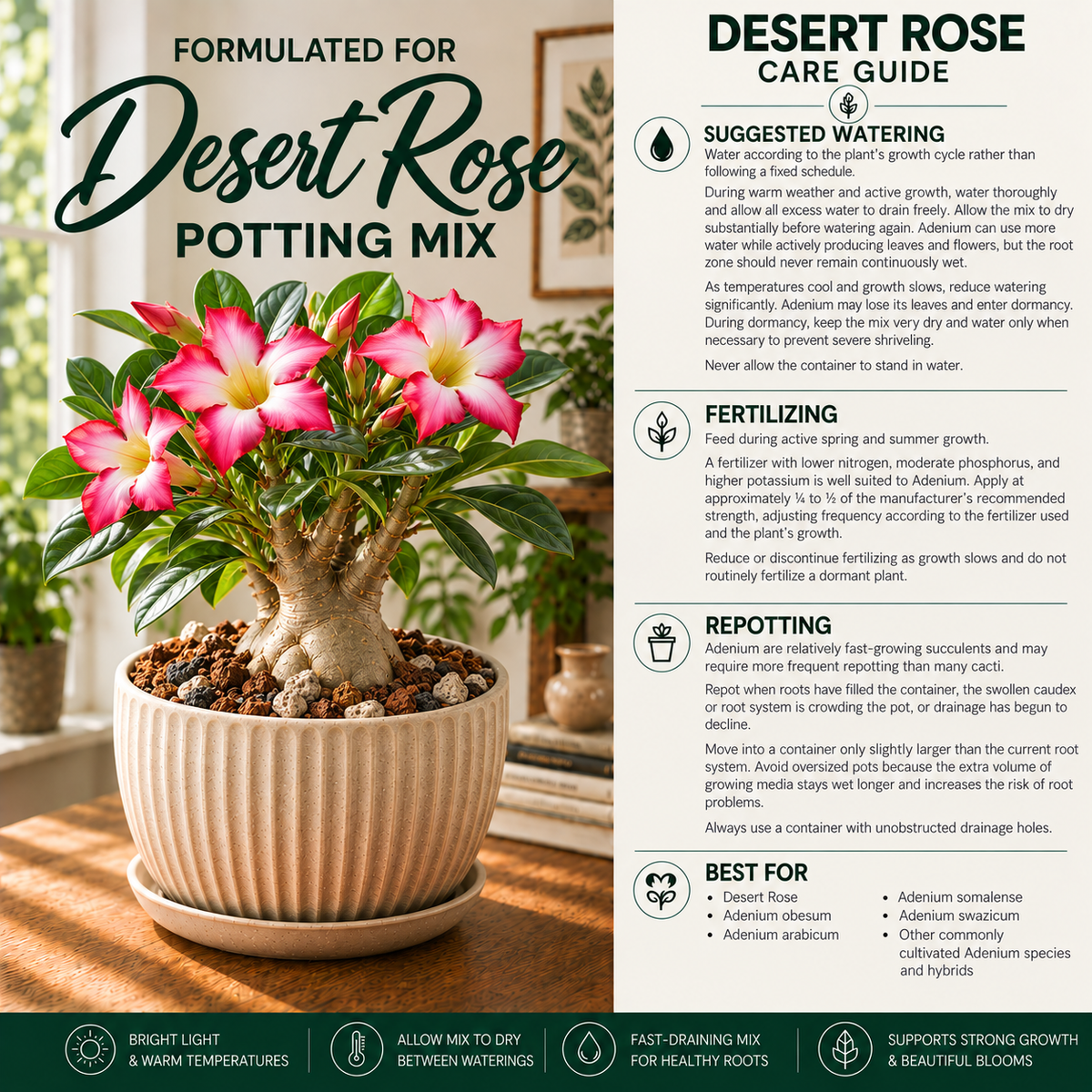 Desert Rose Potting Mix – Fast-Draining Adenium Soil