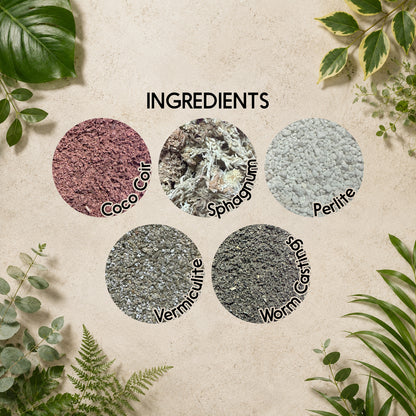 African Violet Soil Mix – Fine-Textured Potting Mix for Indoor Plants