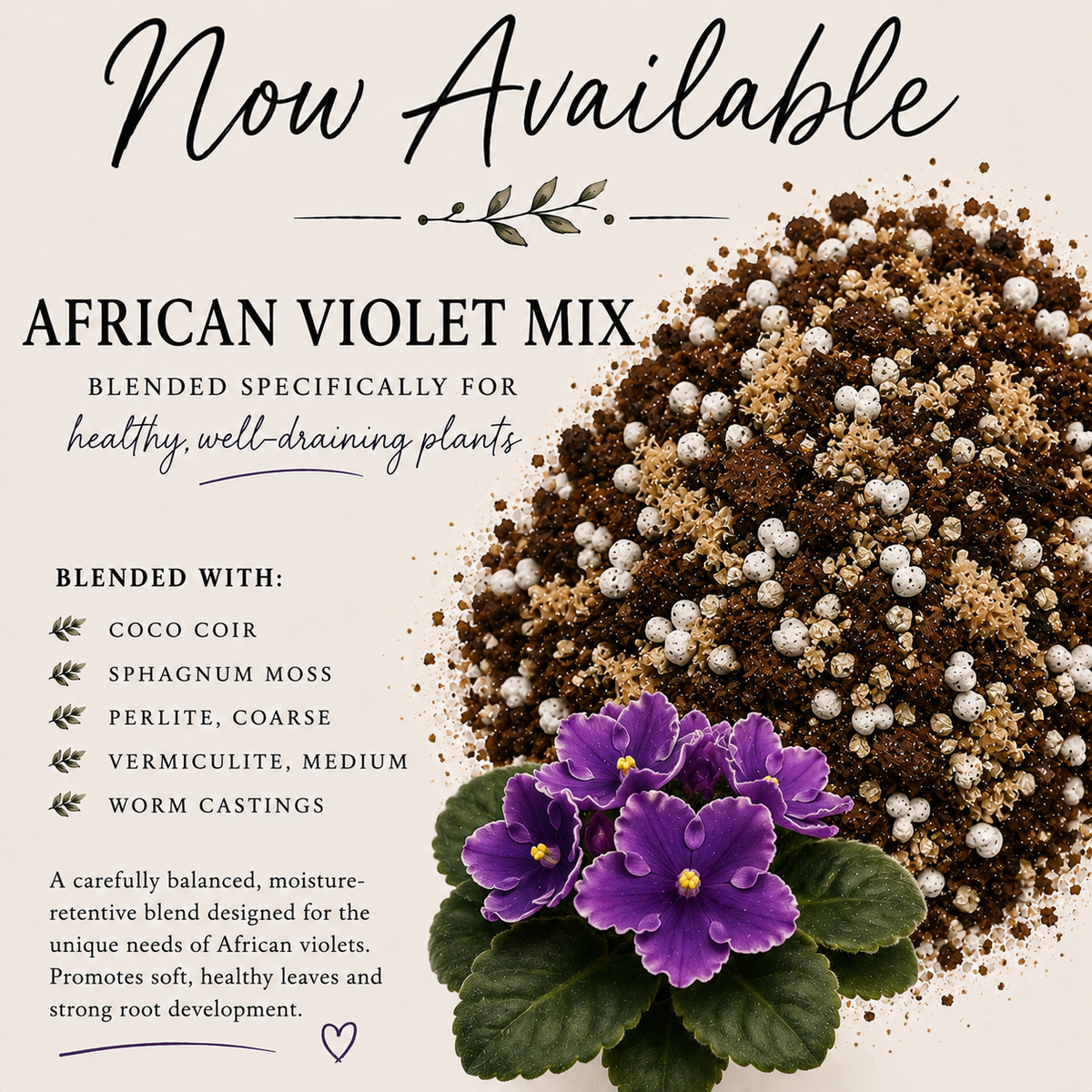African Violet soil mix with coco coir, sphagnum moss, perlite, vermiculite and worm castings