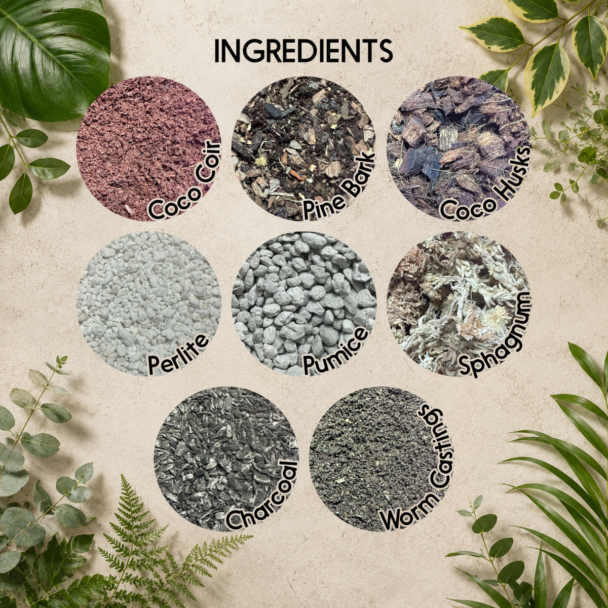 Alocasia Soil Mix – Moisture-Retentive Aroid Potting Mix for Indoor Plants
