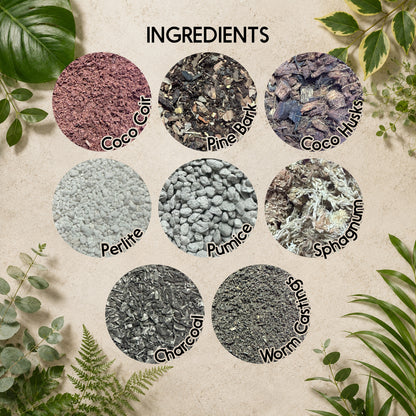 Alocasia Soil Mix – Moisture-Retentive Aroid Potting Mix for Indoor Plants