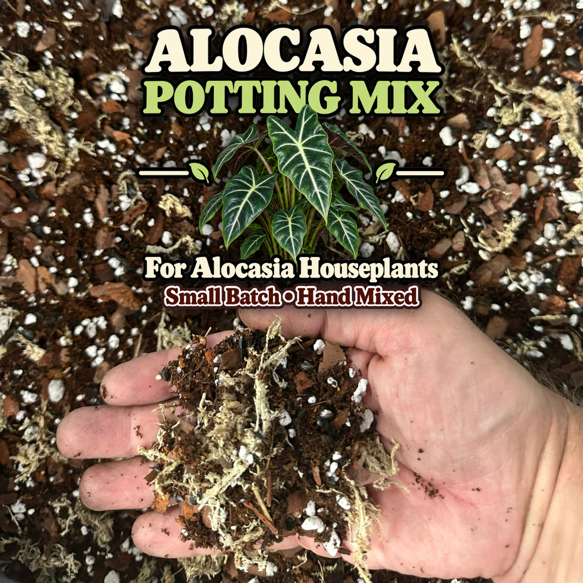 Alocasia Soil Mix – Moisture-Retentive Aroid Potting Mix for Indoor Plants