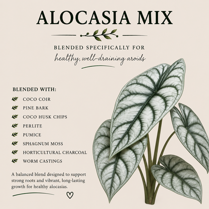 Alocasia Soil Mix – Moisture-Retentive Aroid Potting Mix for Indoor Plants