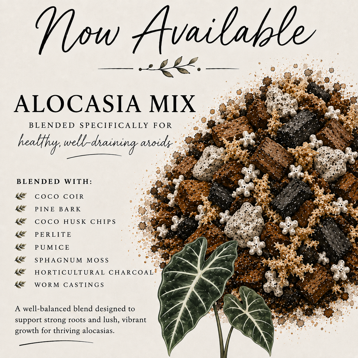 Alocasia soil mix with coco coir, sphagnum moss, pine bark, coco husk, perlite, pumice, charcoal and worm castings