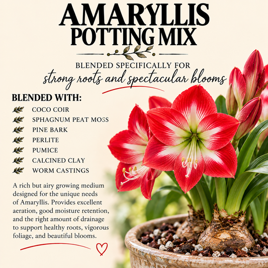 Amaryllis Potting Mix – Moisture-Balanced Hippeastrum Soil