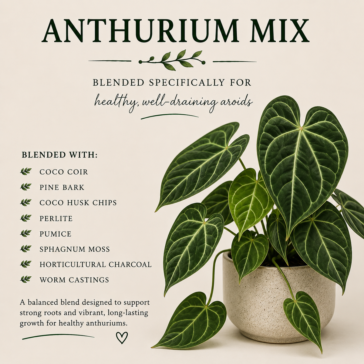 Anthurium Soil Mix – Chunky Aroid Potting Mix for Indoor Plants