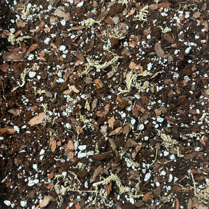 Anthurium Soil Mix – Chunky Aroid Potting Mix for Indoor Plants