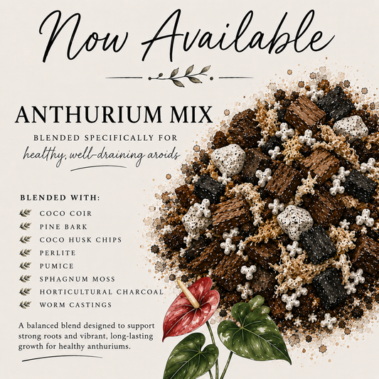Anthurium soil mix with pine bark, coco husk, sphagnum moss, perlite, pumice, charcoal and worm castings