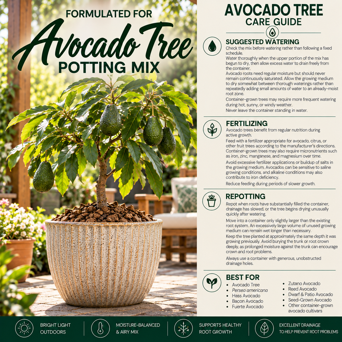 Avocado Tree Potting Mix – Moisture-Balanced, Well-Draining Soil