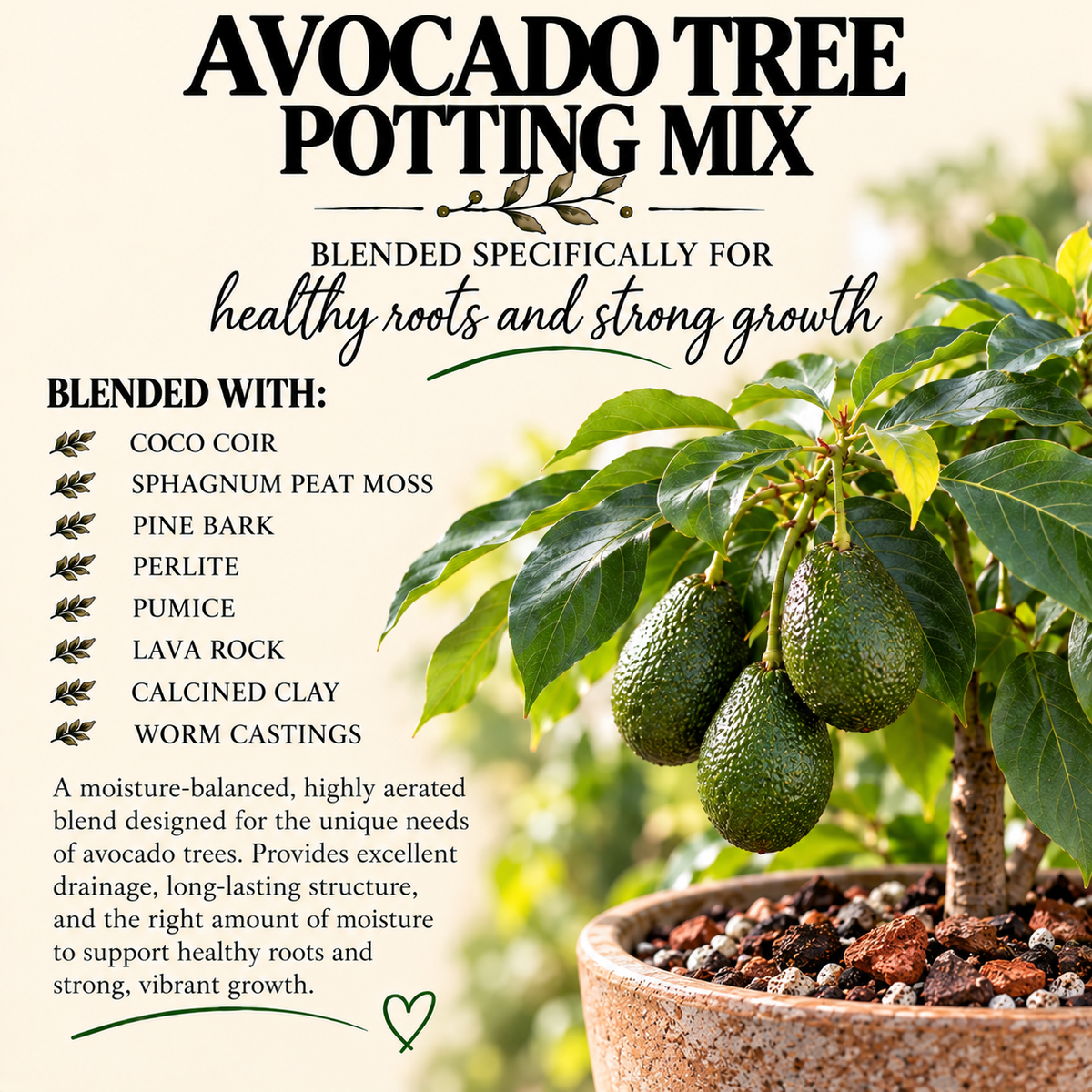 Avocado Tree Potting Mix – Moisture-Balanced, Well-Draining Soil