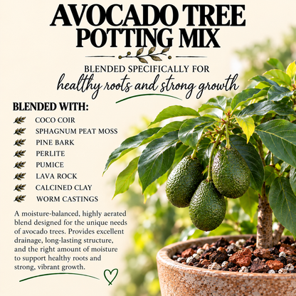 Avocado Tree Potting Mix – Moisture-Balanced, Well-Draining Soil