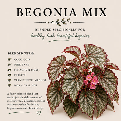 Begonia Soil Mix – Moisture-Balanced Potting Mix for Indoor Plants