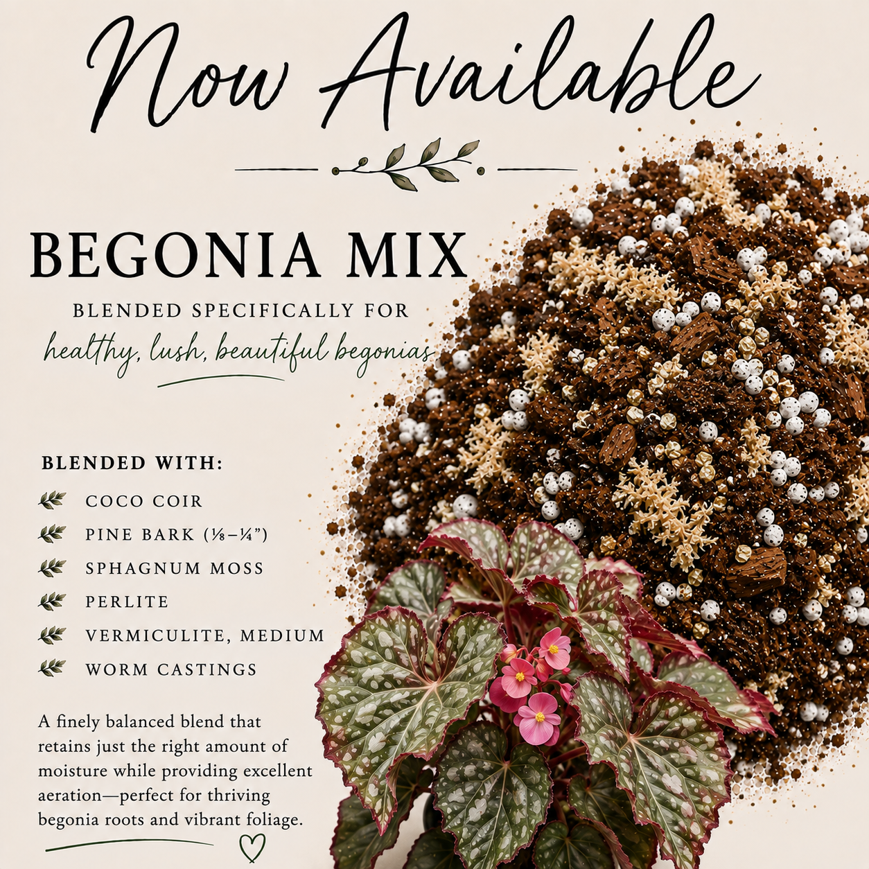 Begonia soil mix with coco coir, sphagnum moss, pine bark, perlite, vermiculite and worm castings