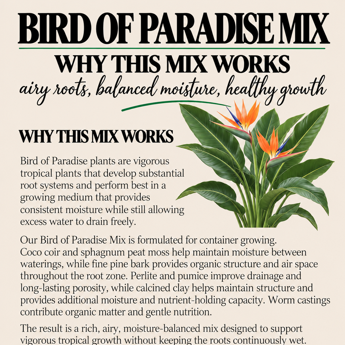 Bird of Paradise Potting Mix – Moisture-Balanced Tropical Soil