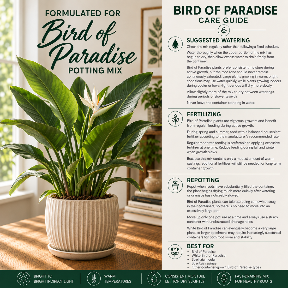 Bird of Paradise Potting Mix – Moisture-Balanced Tropical Soil