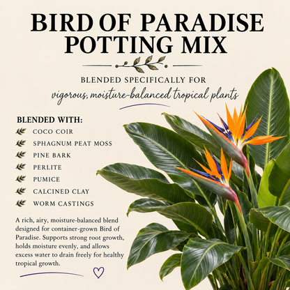 Bird of Paradise Potting Mix – Moisture-Balanced Tropical Soil