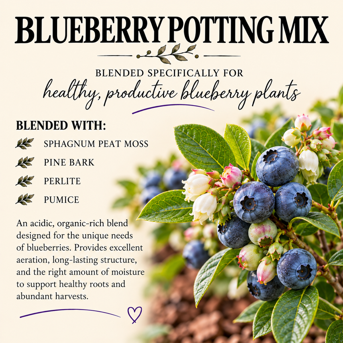Blueberry Potting Mix – Acidic Moisture-Balanced Container Soil