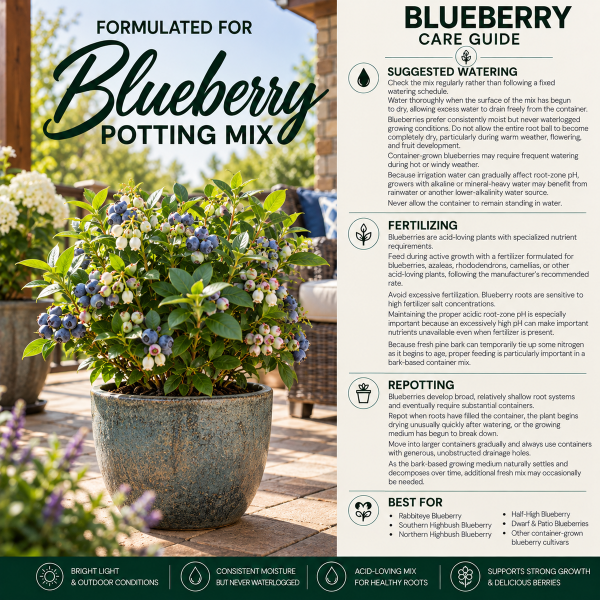 Blueberry Potting Mix – Acidic Moisture-Balanced Container Soil