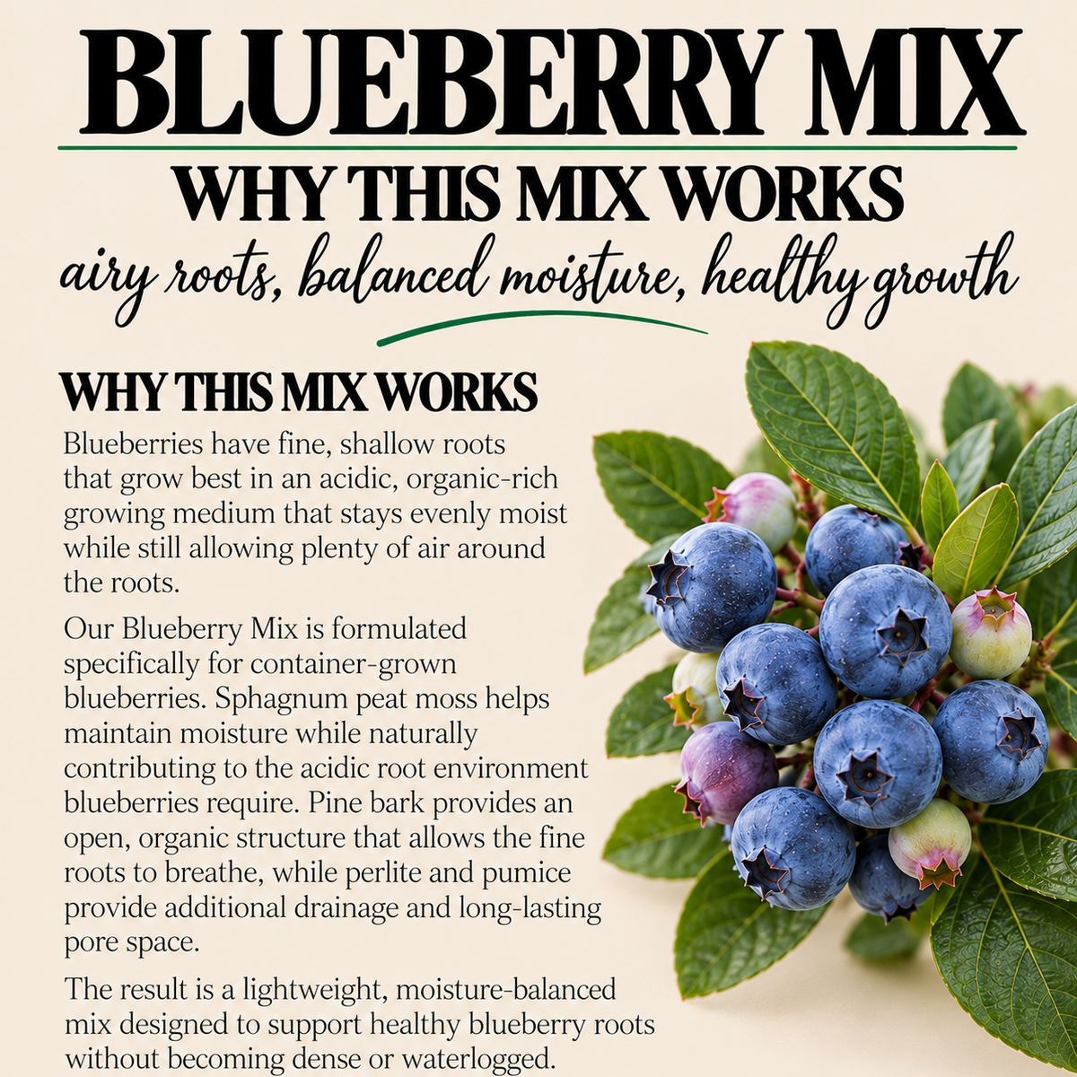Blueberry Potting Mix – Acidic Moisture-Balanced Container Soil