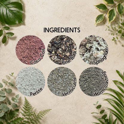 Calathea Soil Mix – Moisture-Balanced Potting Mix for Prayer Plants