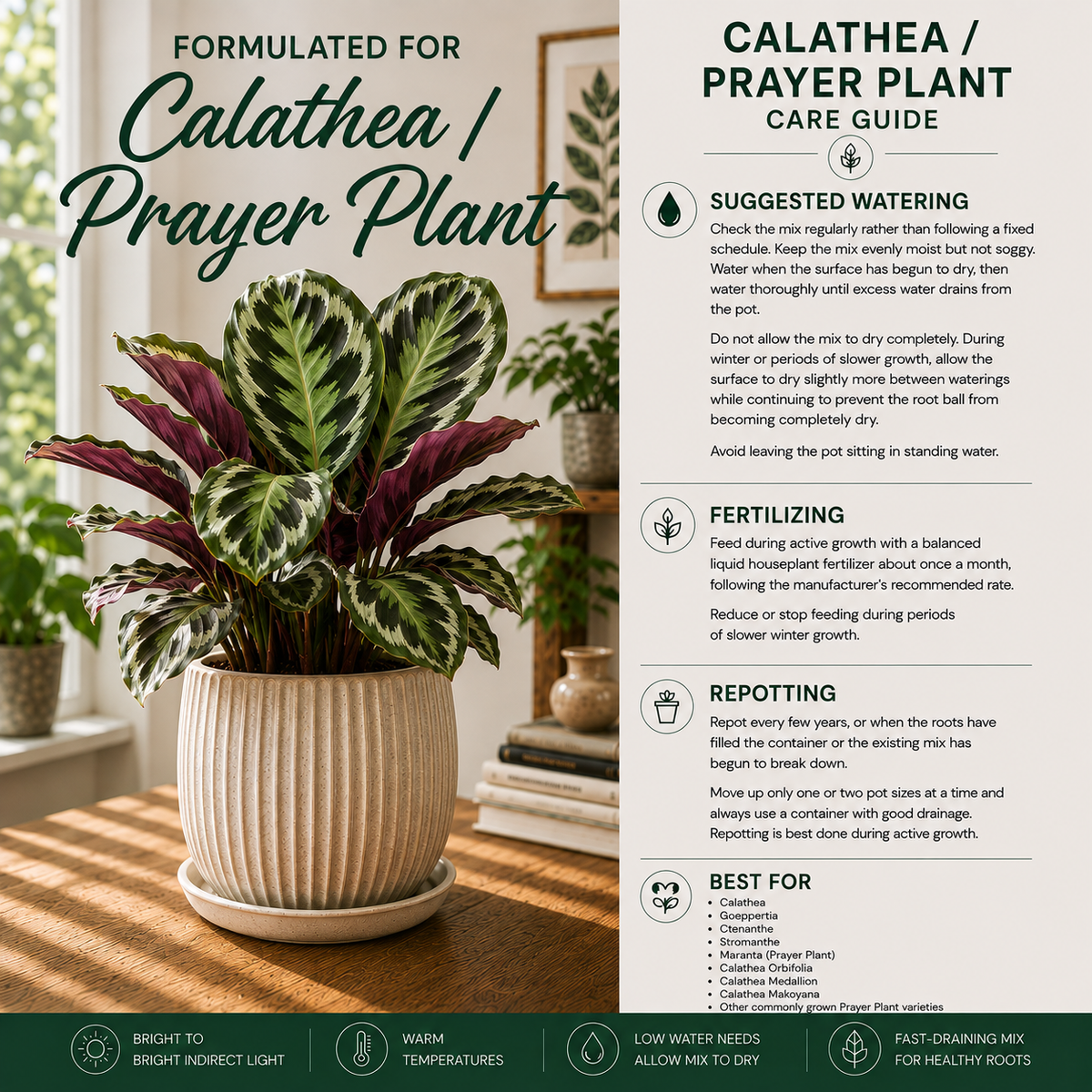 Calathea Soil Mix – Moisture-Balanced Potting Mix for Prayer Plants