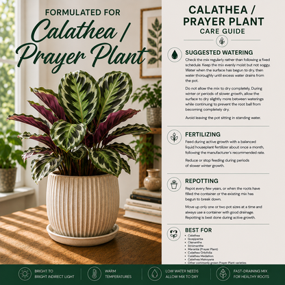 Calathea Soil Mix – Moisture-Balanced Potting Mix for Prayer Plants