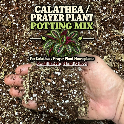 Calathea Soil Mix – Moisture-Balanced Potting Mix for Prayer Plants