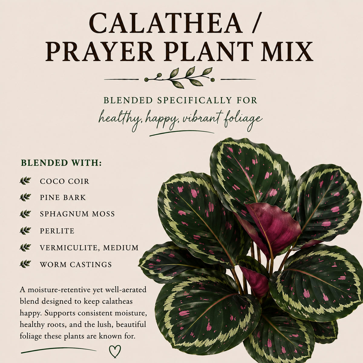 Calathea Soil Mix – Moisture-Balanced Potting Mix for Prayer Plants
