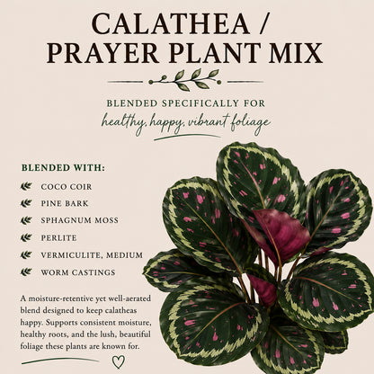 Calathea Soil Mix – Moisture-Balanced Potting Mix for Prayer Plants