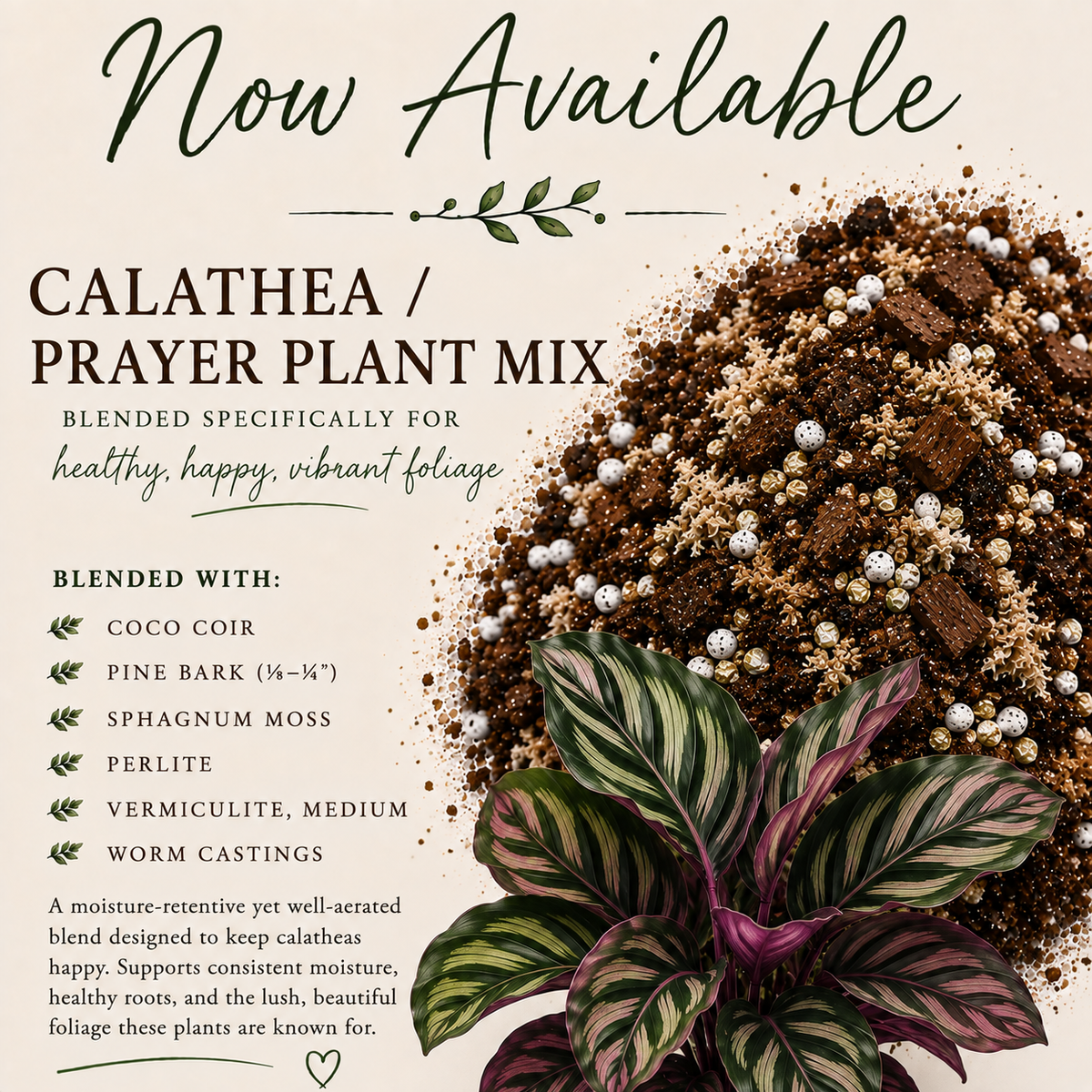 Calathea soil mix with coco coir, sphagnum moss, pine bark, perlite, vermiculite and worm castings