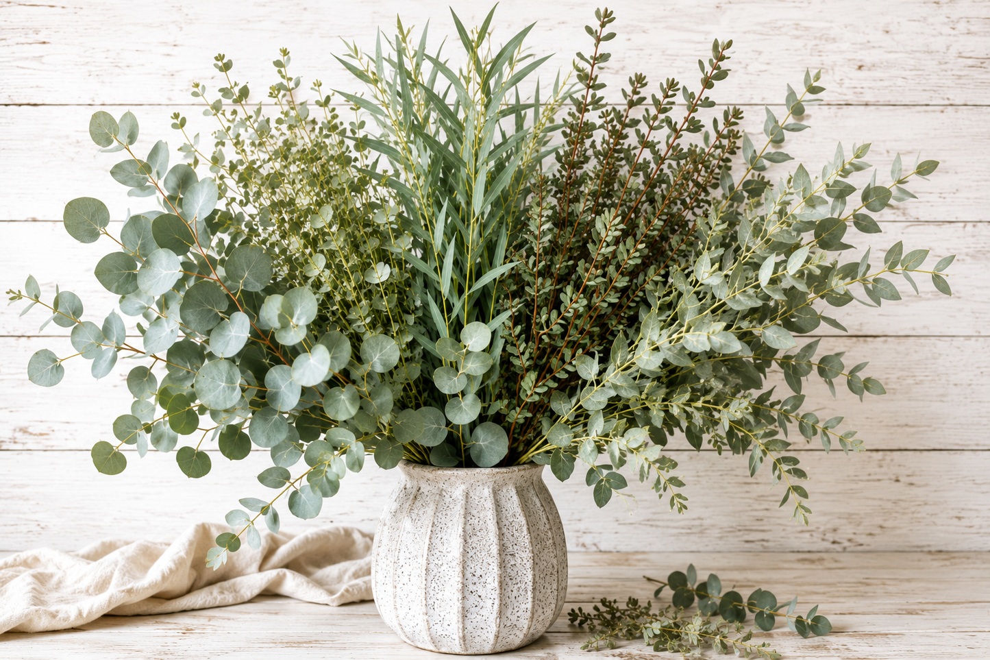 COMING SOON | Fresh Eucalyptus | 10 Stem Bunches
