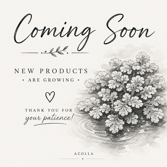 COMING SOON | Azolla – Aquatic Feeder Plant