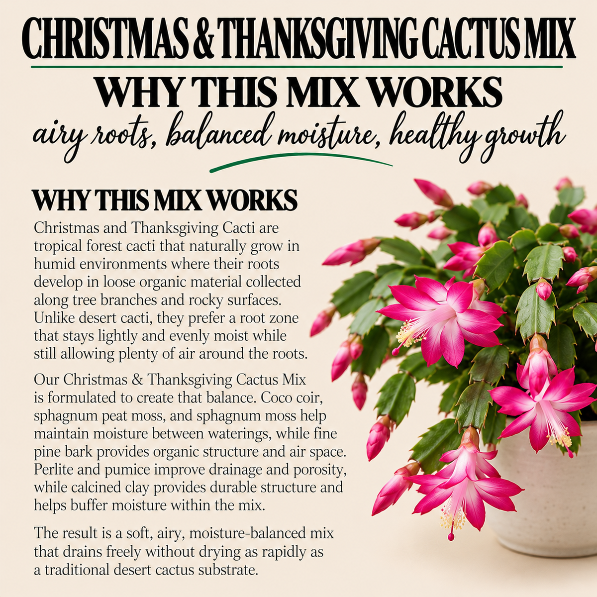 Christmas & Thanksgiving Cactus Potting Mix – Moisture-Balanced Holiday Cactus Soil