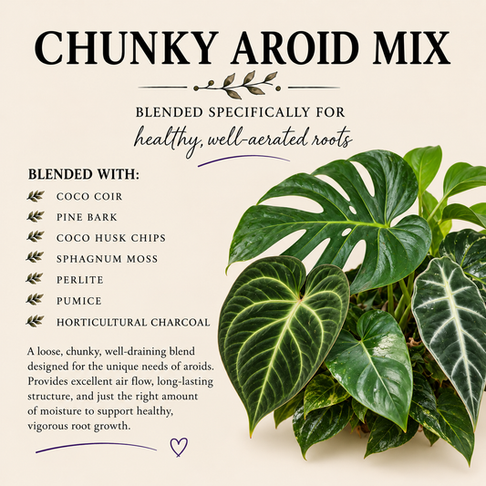 Chunky Aroid Potting Mix – Fast-Draining Tropical Plant Soil