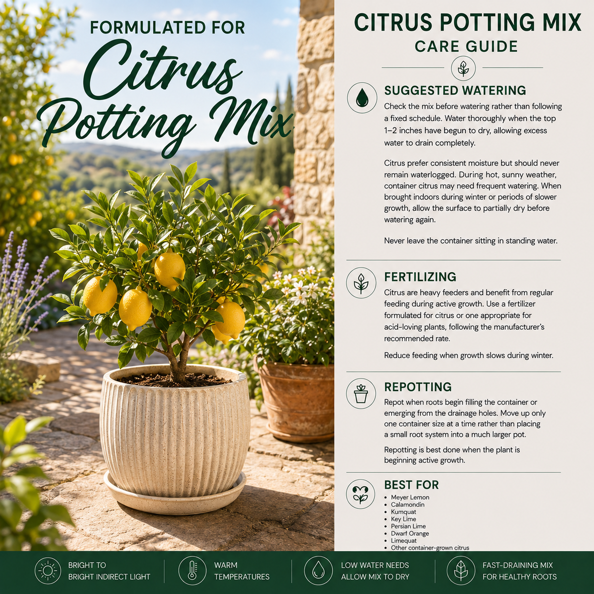 Citrus Soil Mix – Well-Draining Potting Mix for Container Citrus