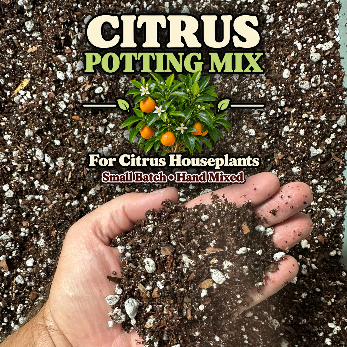 Citrus Soil Mix – Well-Draining Potting Mix for Container Citrus
