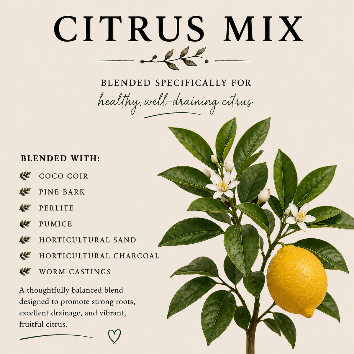Citrus Soil Mix – Well-Draining Potting Mix for Container Citrus