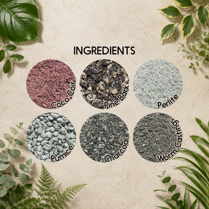 Dracaena Soil Mix – Well-Draining Potting Mix for Indoor Plants