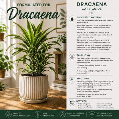 Dracaena Soil Mix – Well-Draining Potting Mix for Indoor Plants