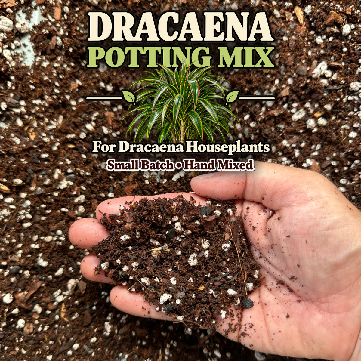 Dracaena Soil Mix – Well-Draining Potting Mix for Indoor Plants