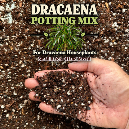 Dracaena Soil Mix – Well-Draining Potting Mix for Indoor Plants