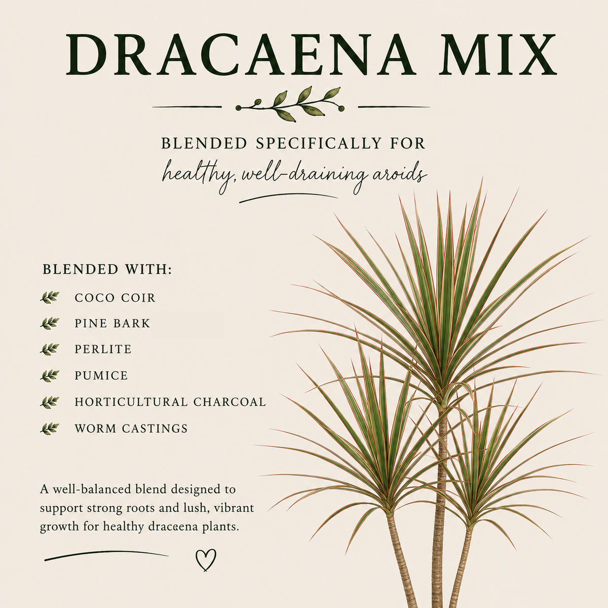 Dracaena Soil Mix – Well-Draining Potting Mix for Indoor Plants