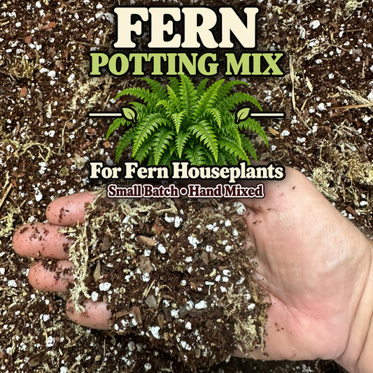 Fern Soil Mix – Moisture-Retentive Potting Mix for Indoor Ferns