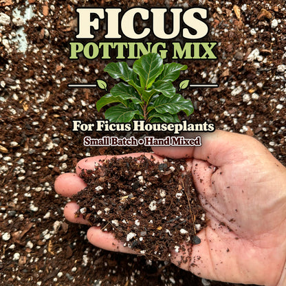 Ficus Soil Mix – Balanced Potting Mix for Indoor Plants