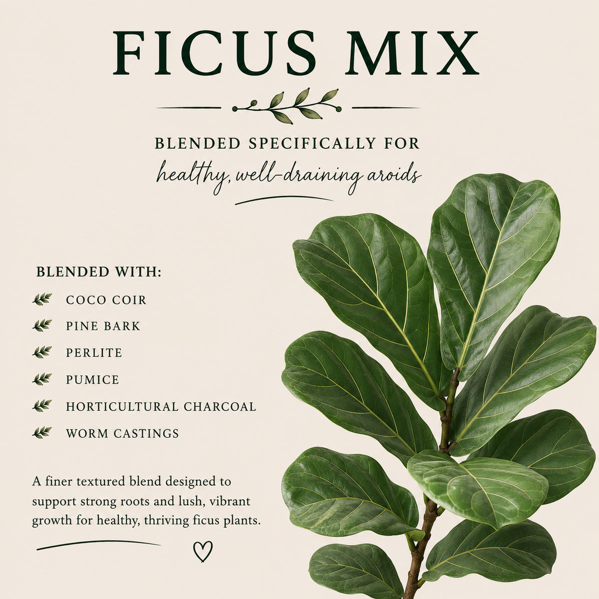 Ficus Soil Mix – Balanced Potting Mix for Indoor Plants